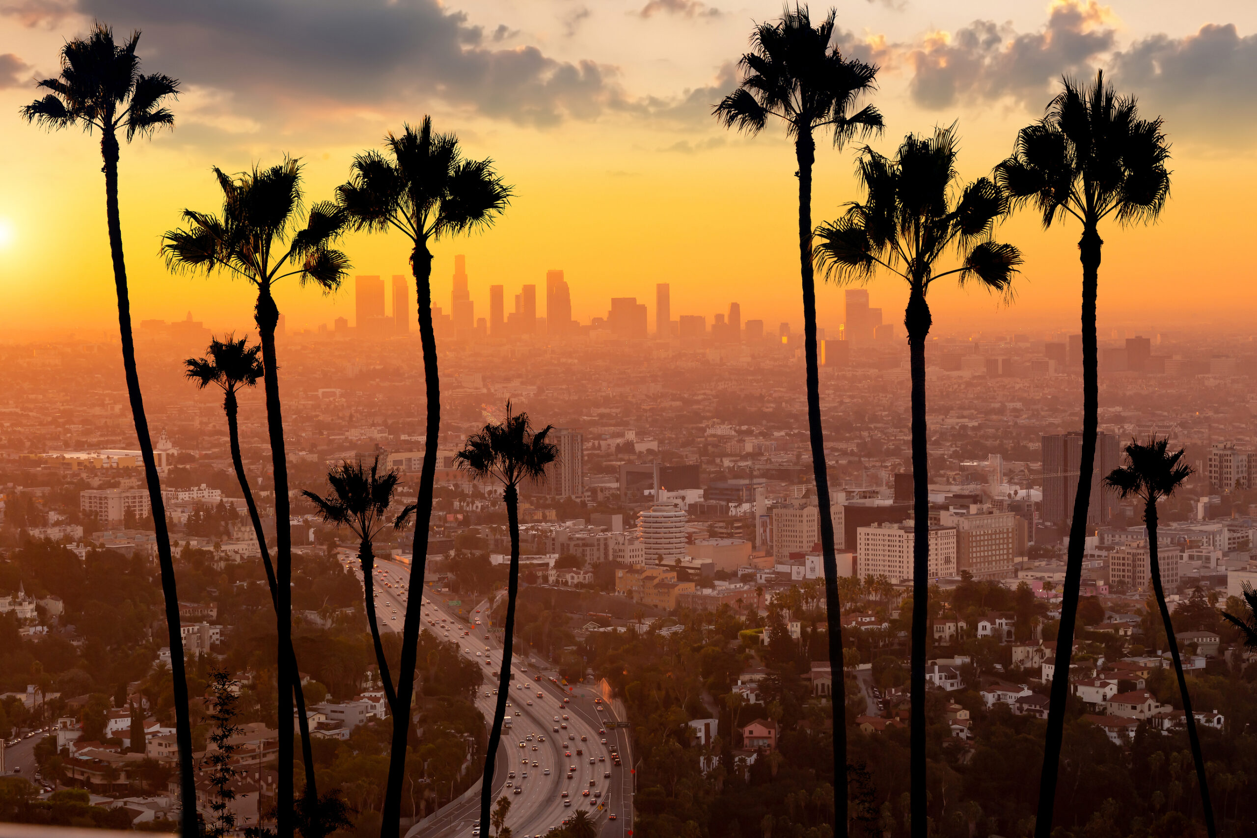 Culinary Adventures in the City of Angels