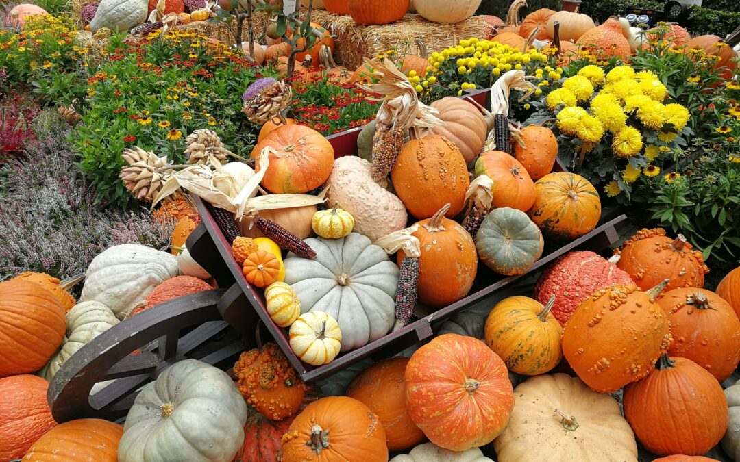 November 2025 Inspiration